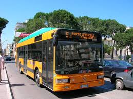 bus
